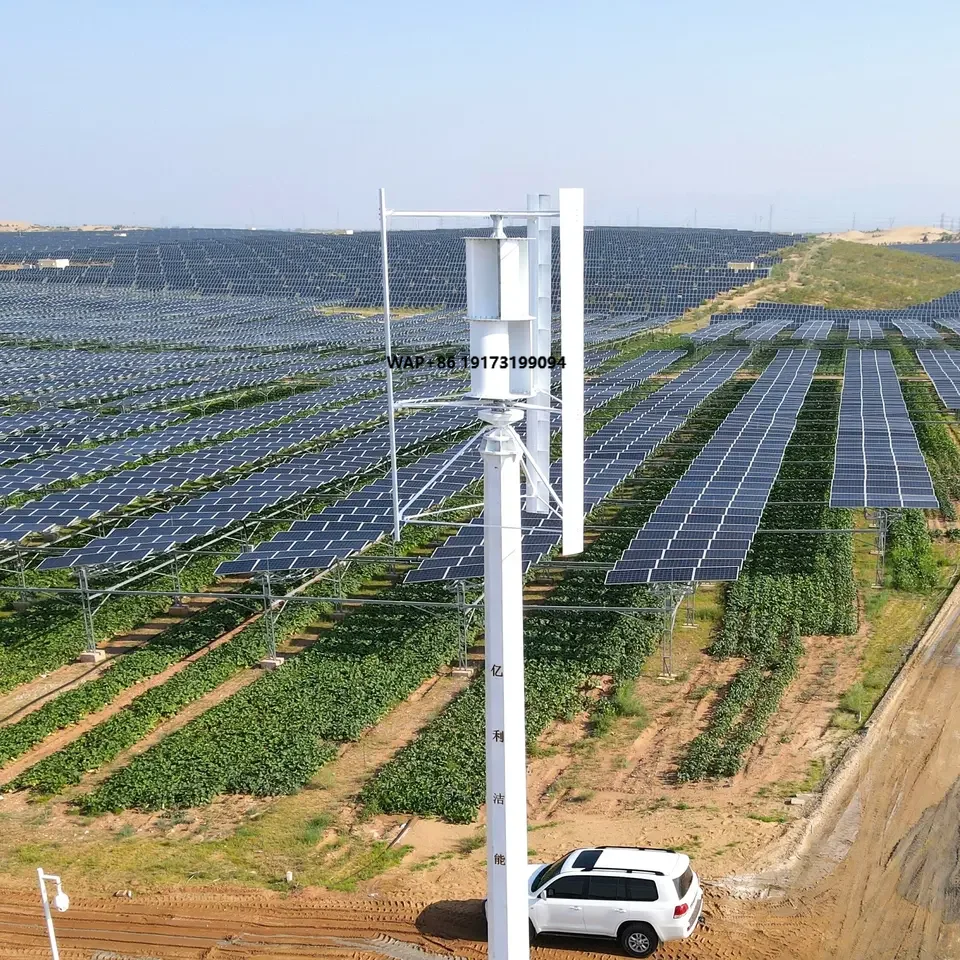 Wind Turbine Generator - 중국 공장 소형 풍력 터빈 자기