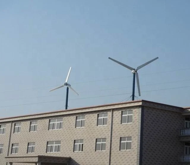CE 폴란드 이탈리아 루마니아 인기 판매 가정용 20K - Wind Turbine Generator 리뷰 및 가격