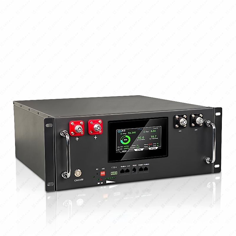 51.2V 100AH LiFePO4 랙 장착형 리튬 인 - Energy Storage Rack 리뷰 및 가격